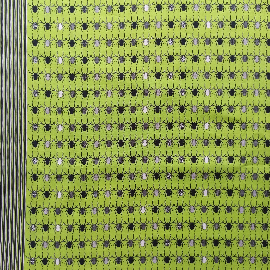 GPA78 - Lime spiders