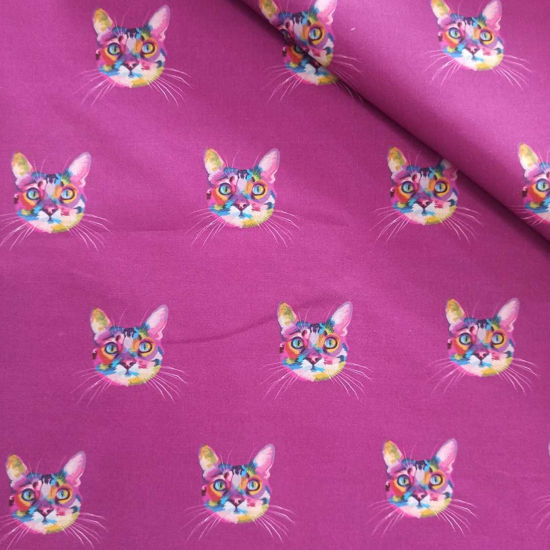 GPA80b - Arty cat purple