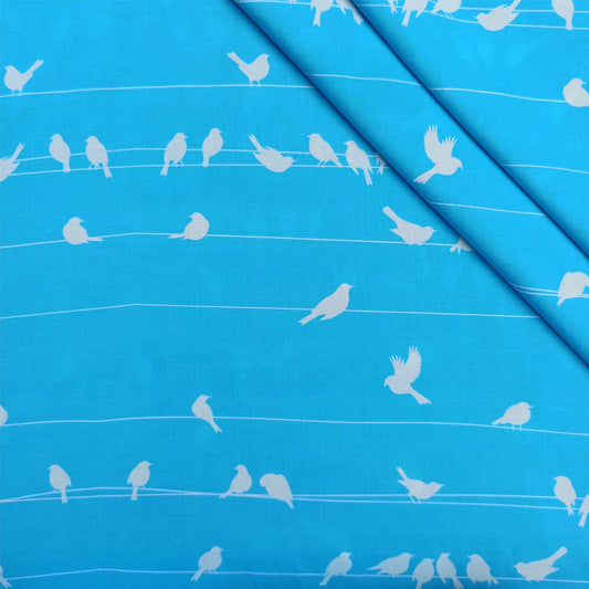 GPA83 - Skyblue birds online